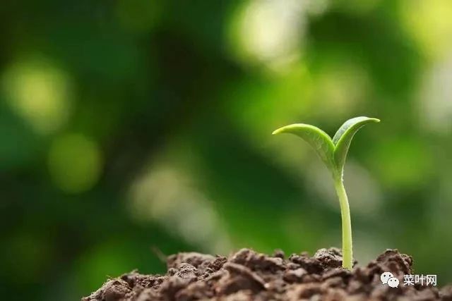 老子的道法自然概况天地至理,什么是自然,什