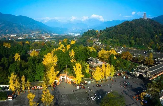 青城山分為前山,後山兩個景區,山道兩邊樹木鬱鬱蔥蔥的,一進入清幽