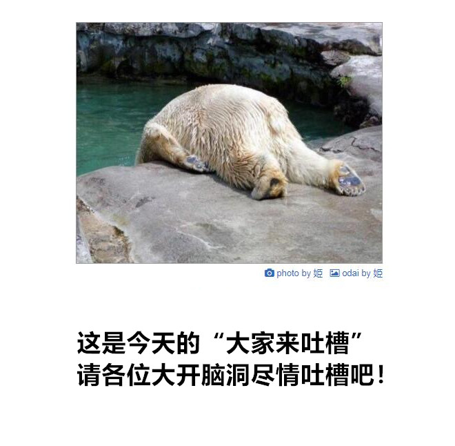 冷笑话神吐槽吃我咸鱼突刺