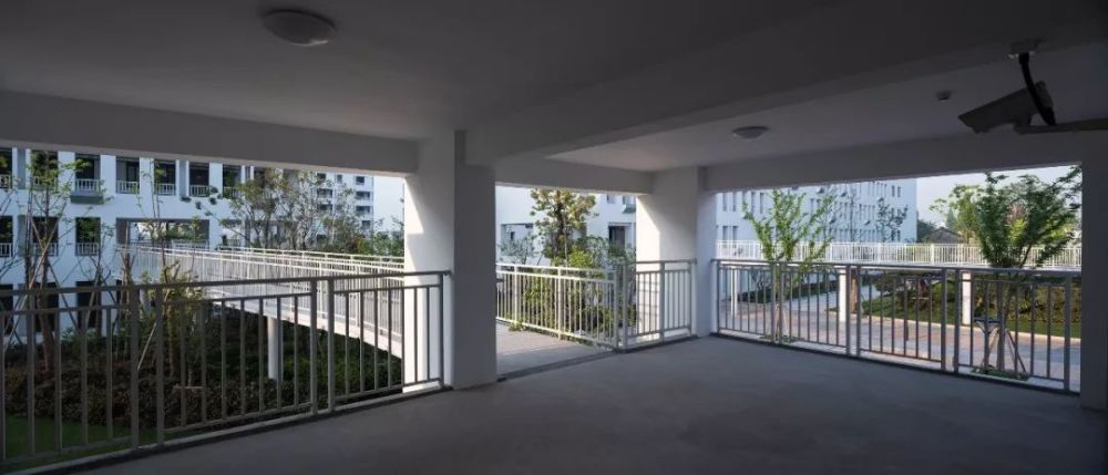 张佳晶:龙南佳苑忏悔录