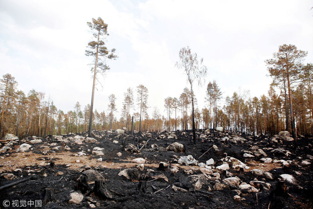 高温碰上干旱!瑞典森林大火肆虐 经济损失巨大