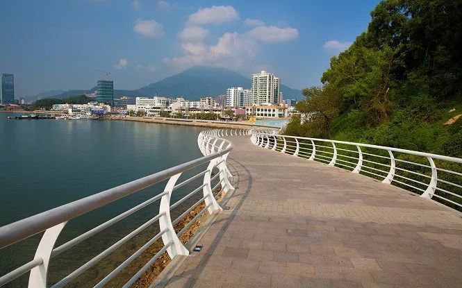 登高漫步去哪兒?深圳公園綠道