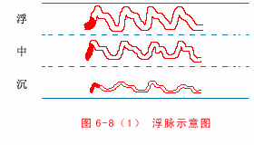 脉诊之阳脉