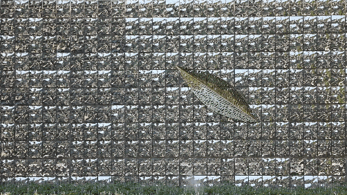 设计师|纸上留白，只等“风”来！