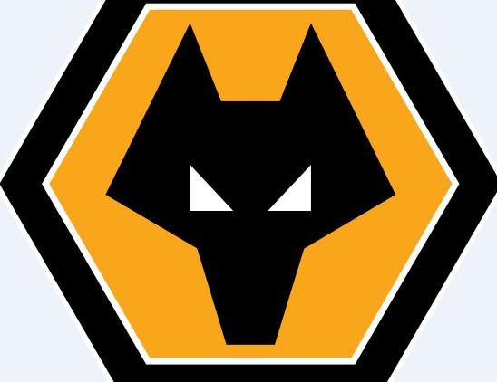 英国网友热议武磊或加盟英超狼队他是谁队徽改成龙吧