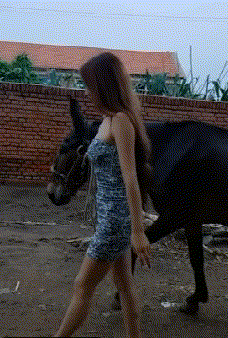 搞笑gif动态图:这回别说兔子了,飞机我也敢跟他赛跑