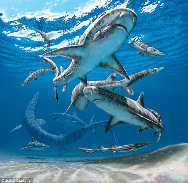 恐龙大规模灭绝,却使鲨鱼得以繁衍,真正的恐龙