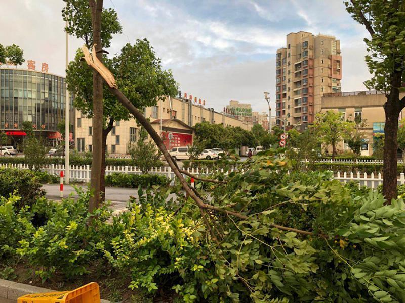 大风大浪降至上海 台风"云雀"就在门口
