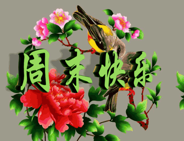 早安祝福问候语动态图片带字,周六愉快周末漂亮早上好动画美图图片带