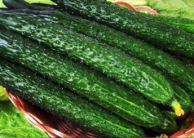 黄瓜正确的保存方法,不用放冰箱,保存7天依然