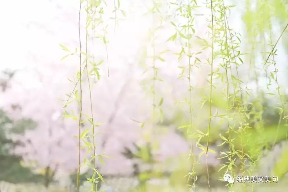 這些樣貌極醜的古人,卻登上了人生巔峰