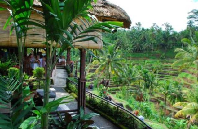 中国游客热衷去印尼,给当地人惯出毛病,专对中