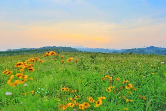 郑州向西40公里有一片草原守护者是位女神危急关头她与哥哥结婚
