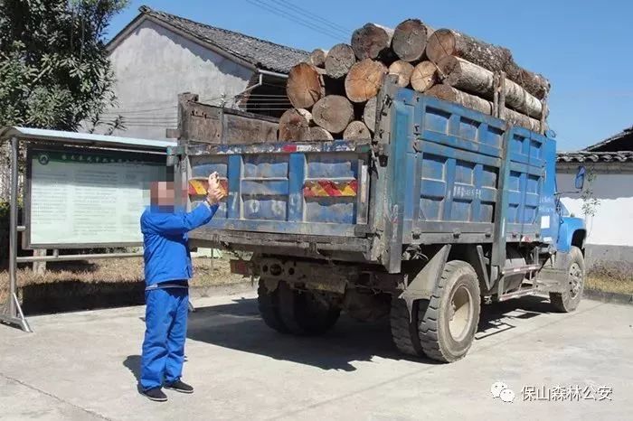 腾冲查获2起滥伐林木案及4起非法收购无合法