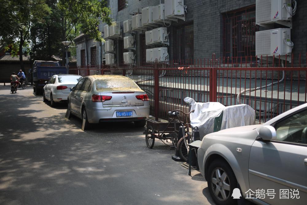 点击图片看原样大小图片