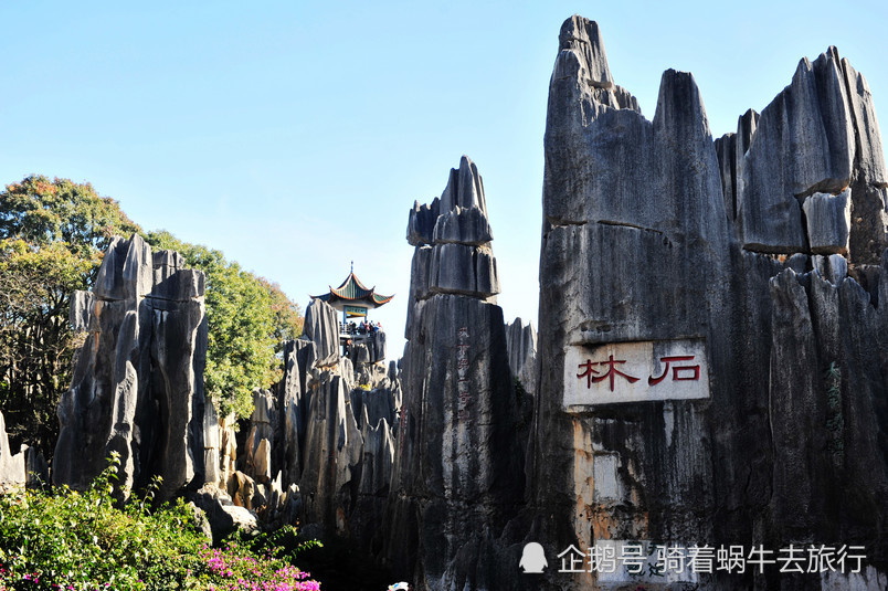 云南最宜居的城市,一年四季不冷不热,被誉为春