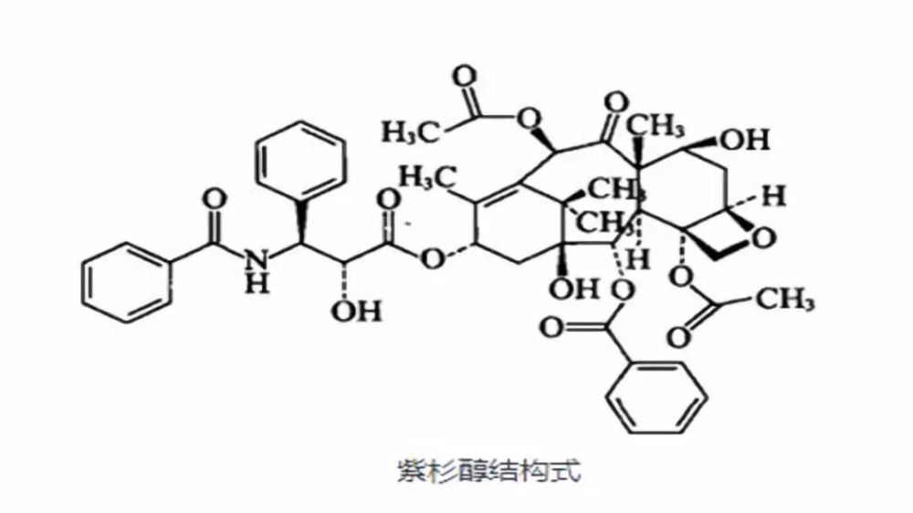 一樣的