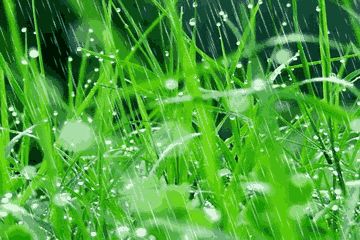 看天象识天气 天上拉海纤,下雨不过三. 四周天不亮,必定有风浪.