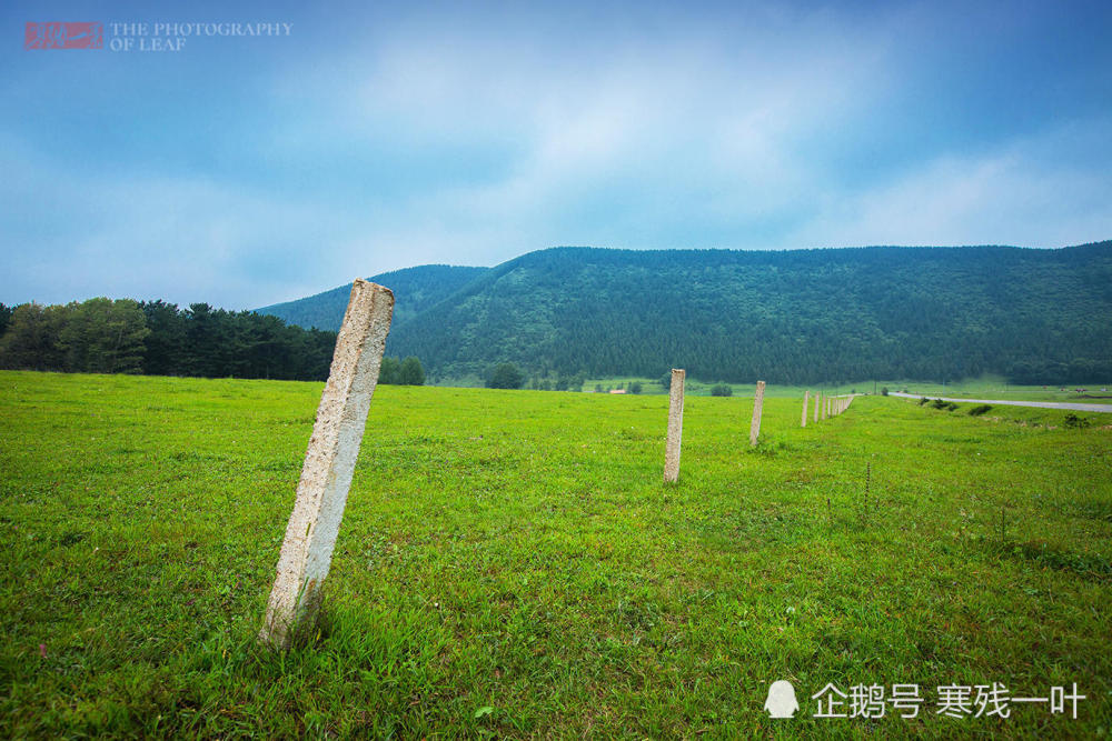 这里曾是皇家猎苑人少景美,牧民设骑马摊位,50元一圈生意火爆