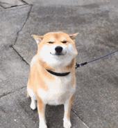 170_185gif 动态图 动图