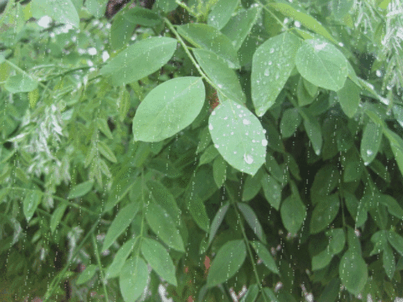 580_435gif 动态图 动图