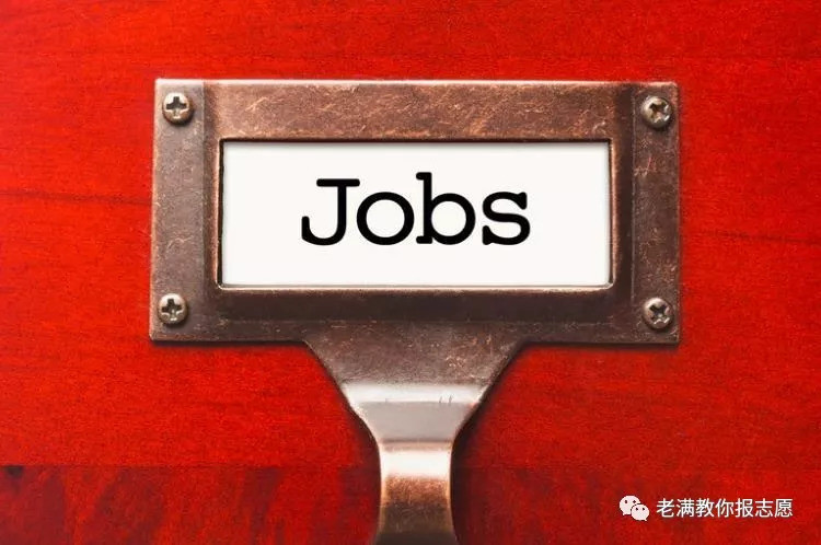 历史学的毕业生,未来的工作前景一片茫茫,出路