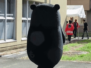 冰墩墩会成为下一个熊本么