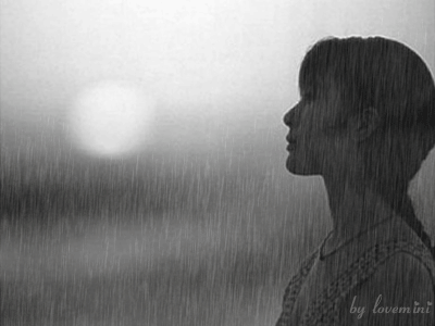 王灵|王灵｜风占据了雨的位置