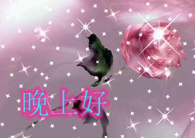 最新漂亮晚上好问候祝福动态表情包分享