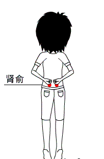 肾脏|肾有“四怕”，最好一个别做，强健肾脏，做好这六点，会慢慢变好