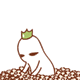 80_80gif 动态图 动图