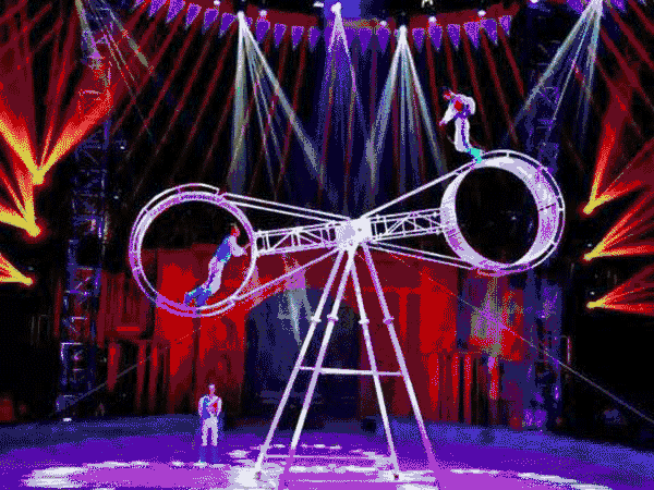 萌宠当家4想想这样的画面真是搞笑又刺激!