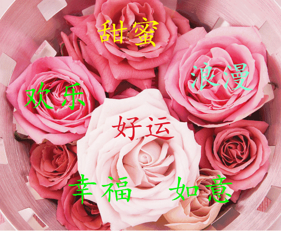 581_477gif 动态图 动图