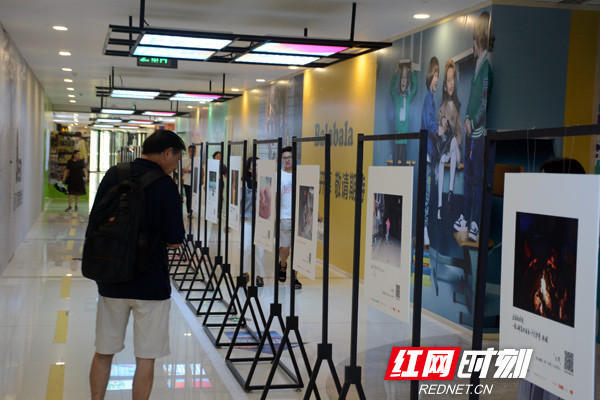 9月8日至9日,腾讯大湘网在长沙泊富广场举行了线下公益摄影展.