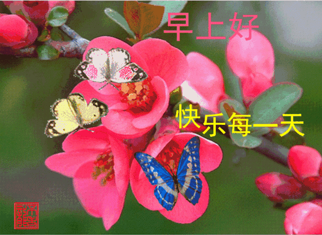 微信朋友圈早安问候图片带字温馨早安问候祝福动态表情图片