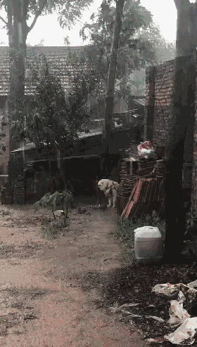 280_494竖版 竖屏gif 动态图 动图