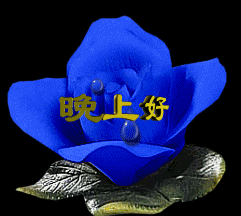 15句晚安问候语及关心话晚上好动态表情图片