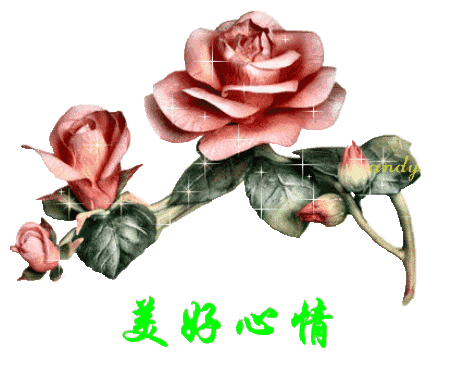 67祝友友们天天好心情!