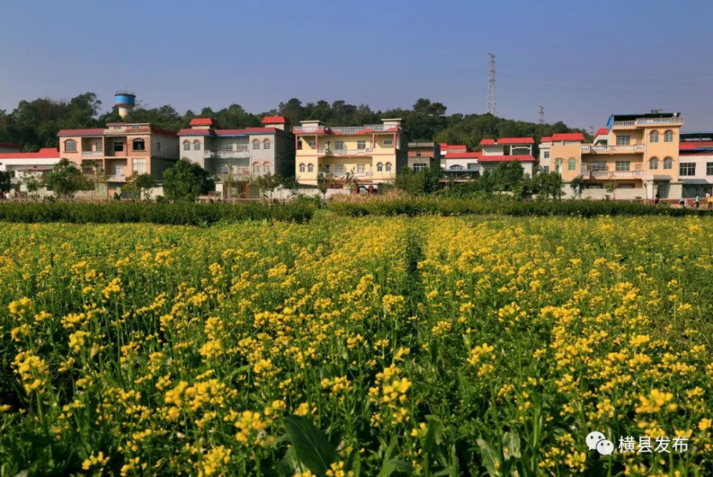 它,就是校椅镇的是石井村