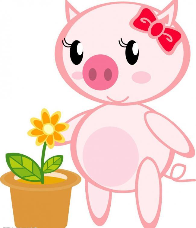 哪些可以适宜养猪可以做成发酵饲料