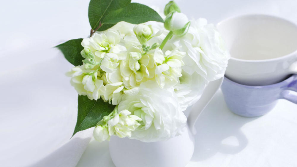 苏珊米勒星座运势:未来15天桃花运突然暴涨,真爱来相认的星座