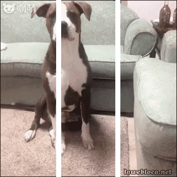 动图:自带3d效果的神奇gif图制作与欣赏