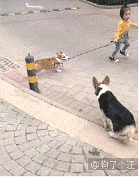 200_255gif 动态图 动图