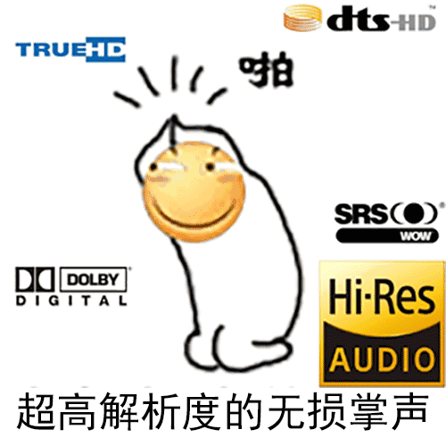 的标准,当然有了播放器你还得有好音源,然后就欢迎你加入了脑放金标