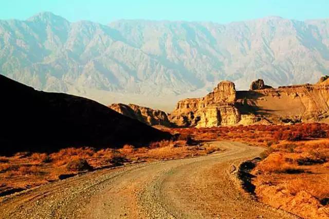巴楚镇,新疆旅游,南疆,丝绸之路,叶尔羌河,胡杨林