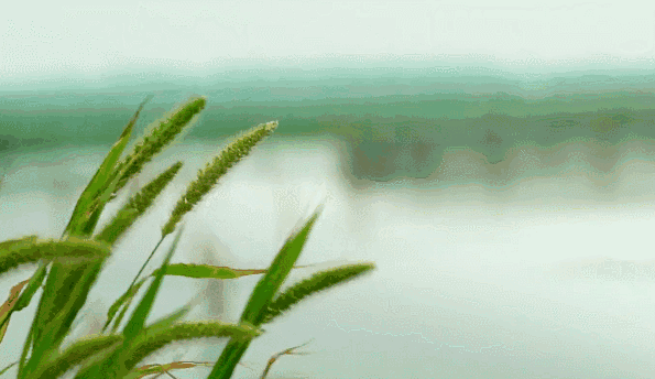 595_344gif 动态图 动图