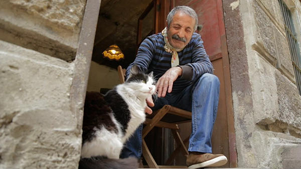 伊斯坦布尔的猫咪都不怕人,《爱猫之城》剧照