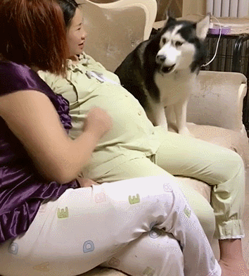 354_392gif 动态图 动图