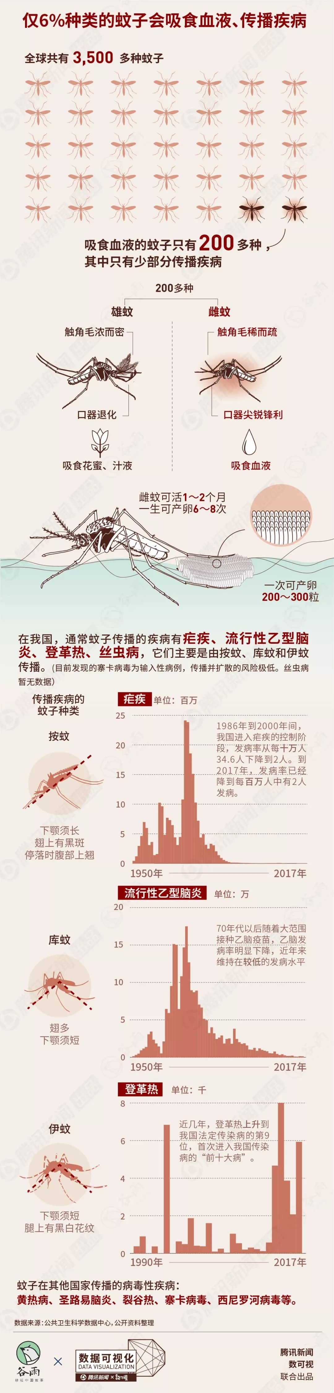 谷雨数据丨蚊子是世界上 最致命的动物 要不要灭掉它