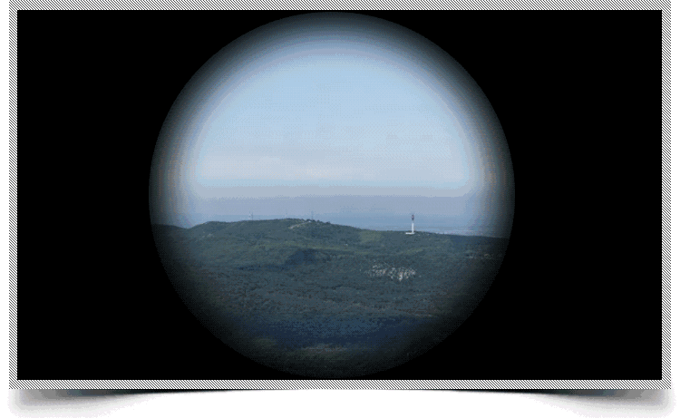 750_461gif 动态图 动图